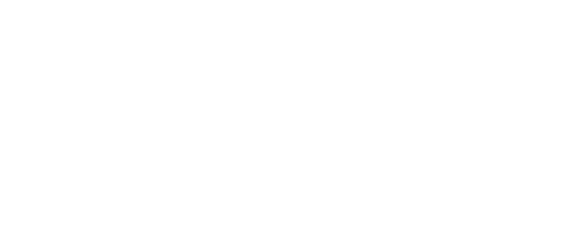 Leona's Workshop